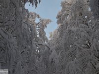 2017-12-29 V. del Morretano 025